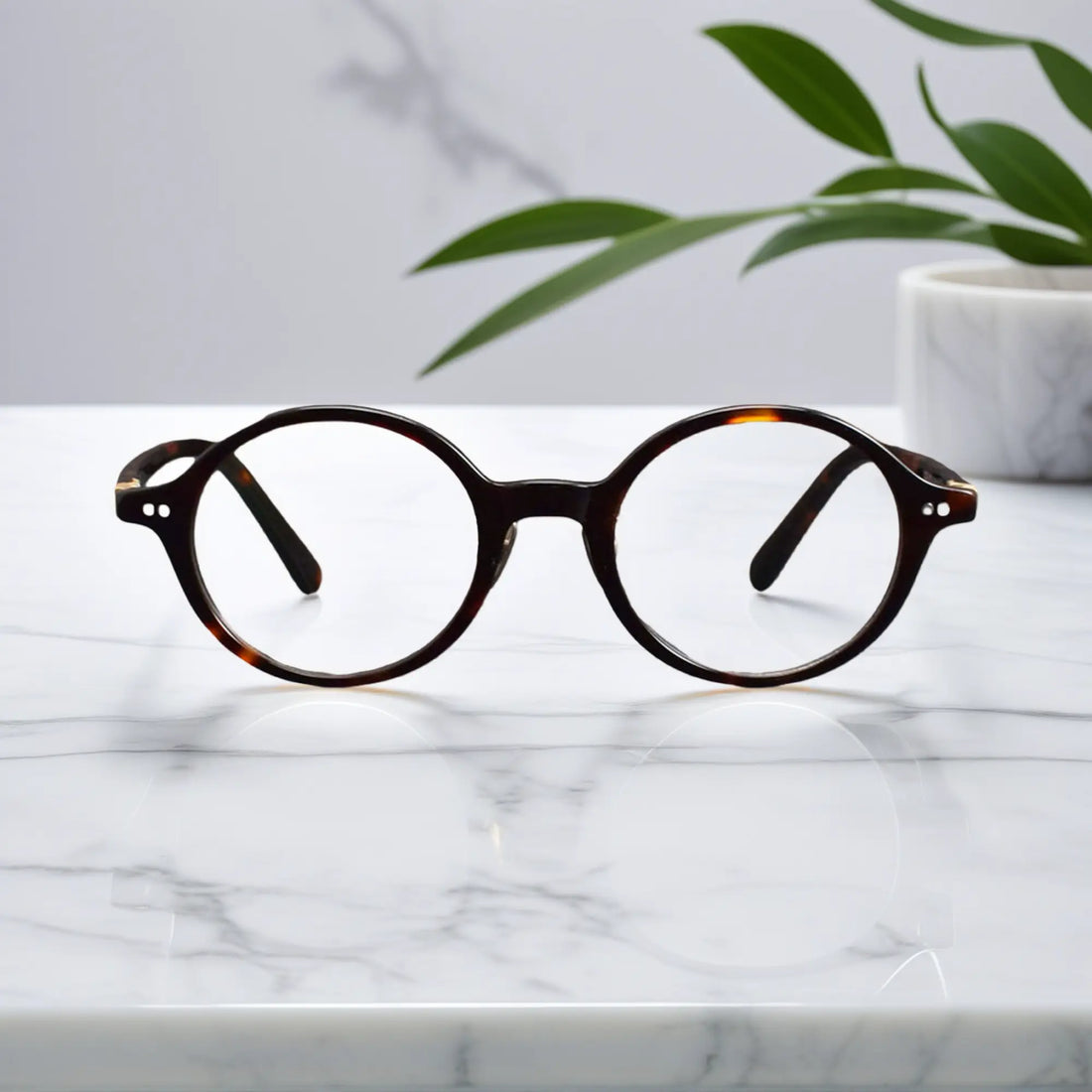 VoyueLens Classic Round Tortoise TR90 Eyeglasses front view