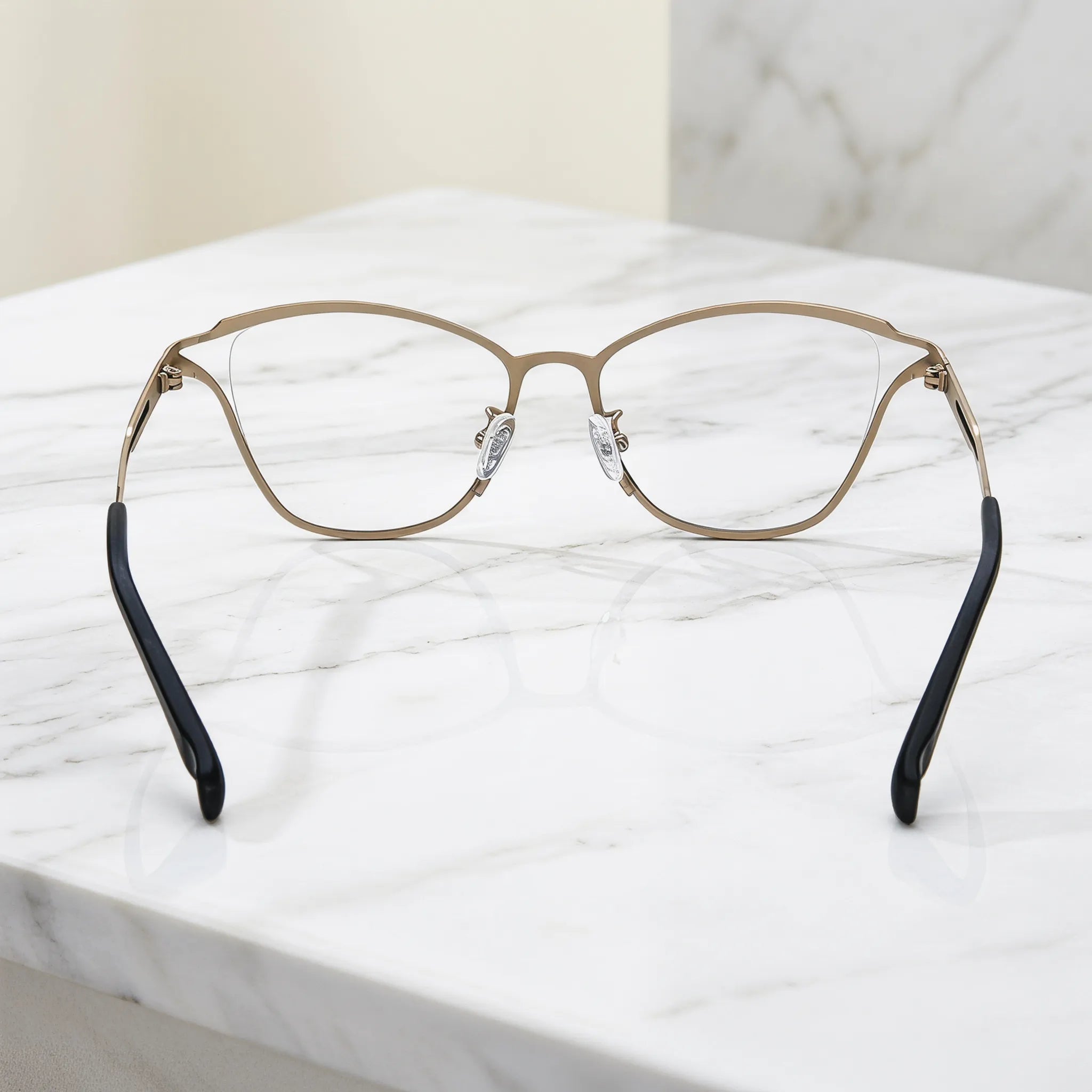 Barledear Champagne Noir eyeglasses back view showing full-rim frame structure, temple shape, and silicone nose pads
