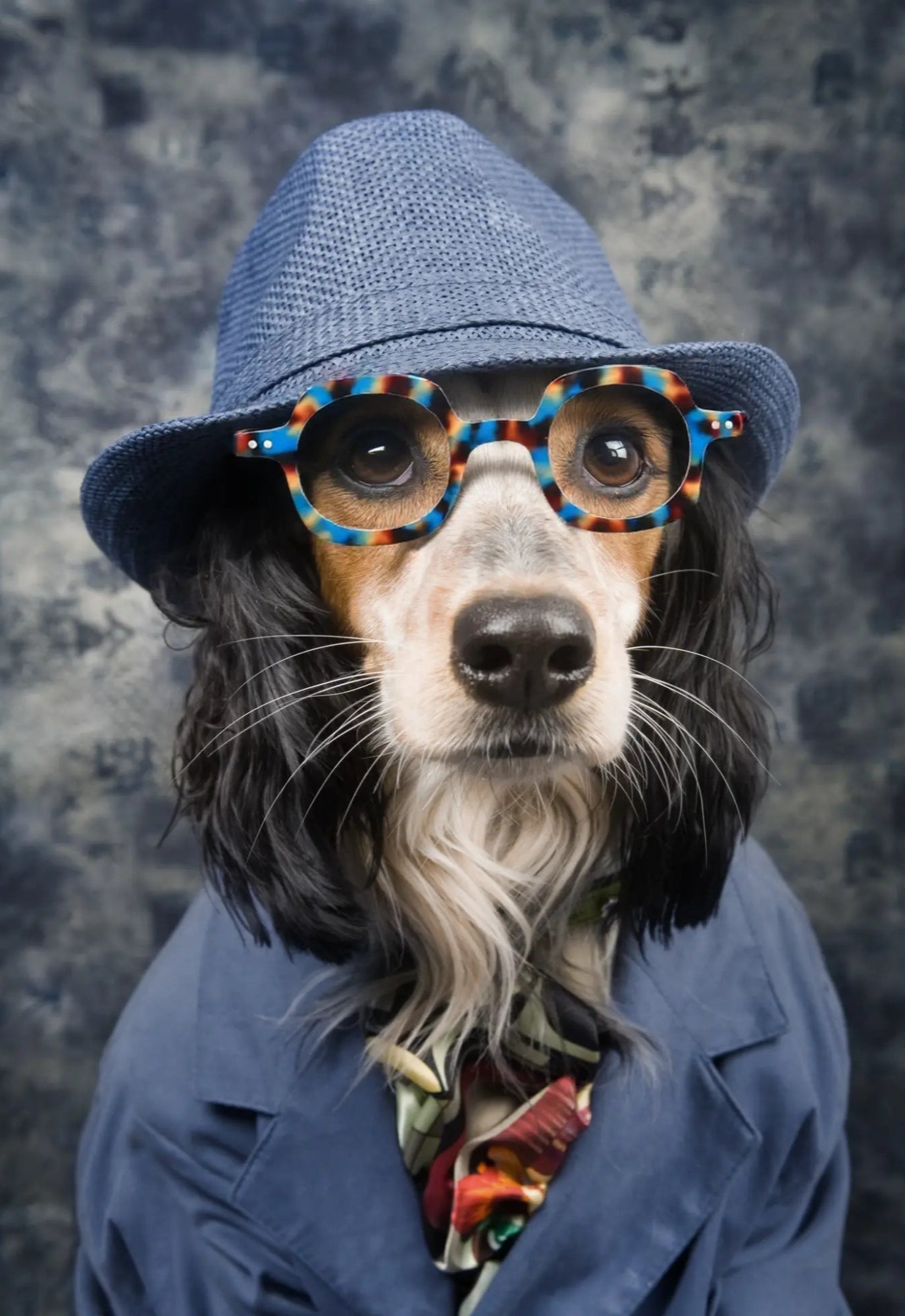 Vibrant lifestyle image of a pet companion model showcasing VoyueLens blue tortoise asymmetrical eyeglasses for a modern artistic look.